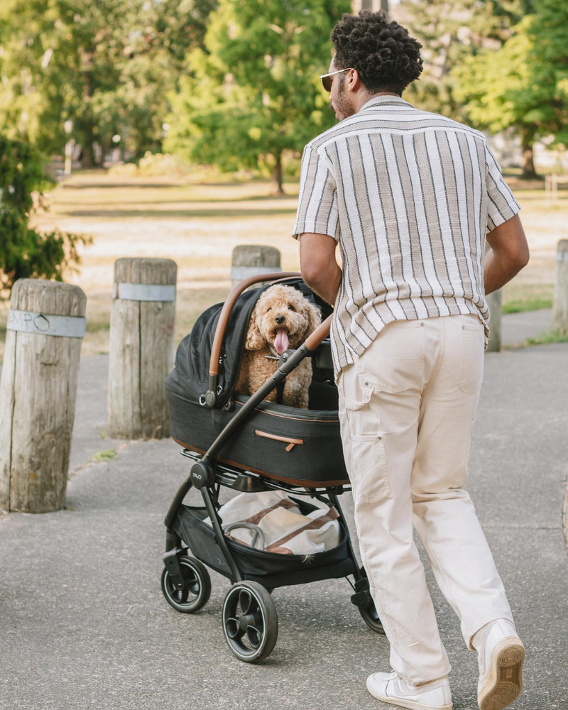 Tavo ペット - Maeve + Roscoe 3-in-1 Pet Protection System for safety-tested comfort | Tavo