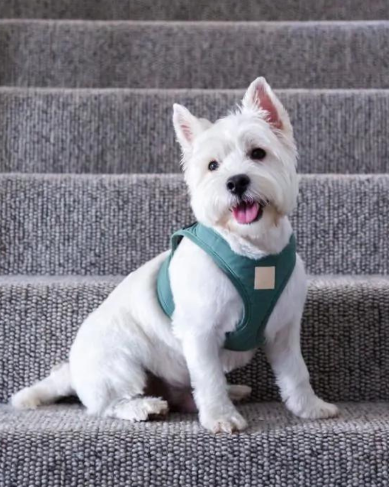 Soft Fabric Step-In Dog Harness WALK FUZZYARD   