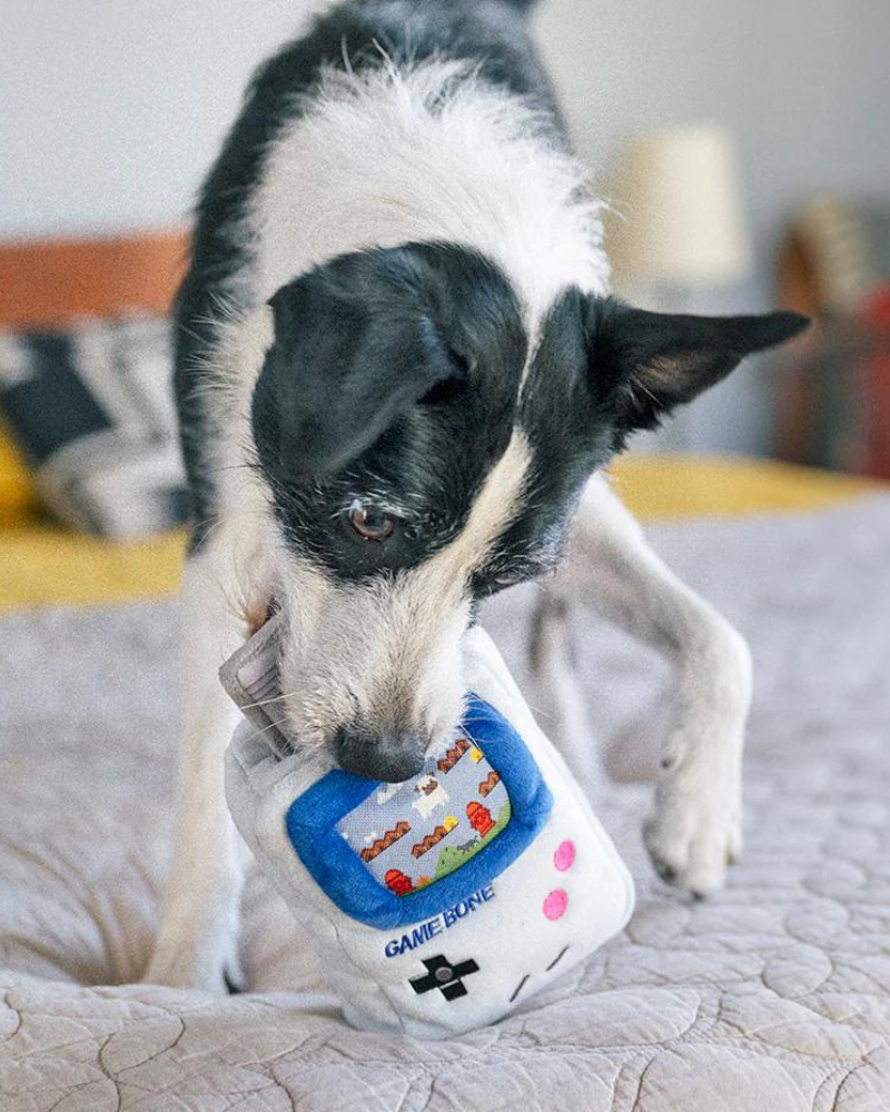 Game Bone Squeaky Plush Dog Toy Play P.L.A.Y.   