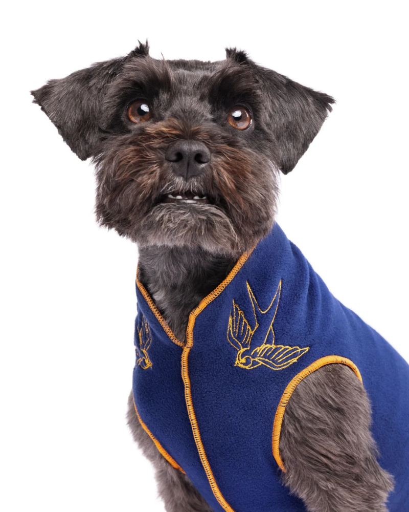 Limited Edition Embroidered Stretch Dog Fleece (Made in the USA) Wear GOLD PAW