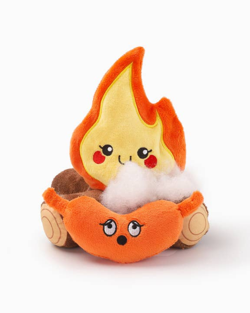 Campfire Plush Squeaky Dog Toy | DOG & CO.