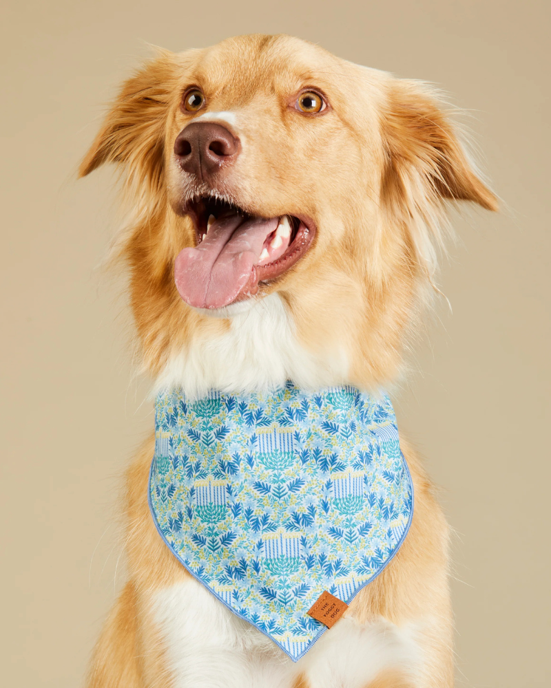 Flora Menorah Hanukkah Bandana for Dogs Wear THE FOGGY DOG