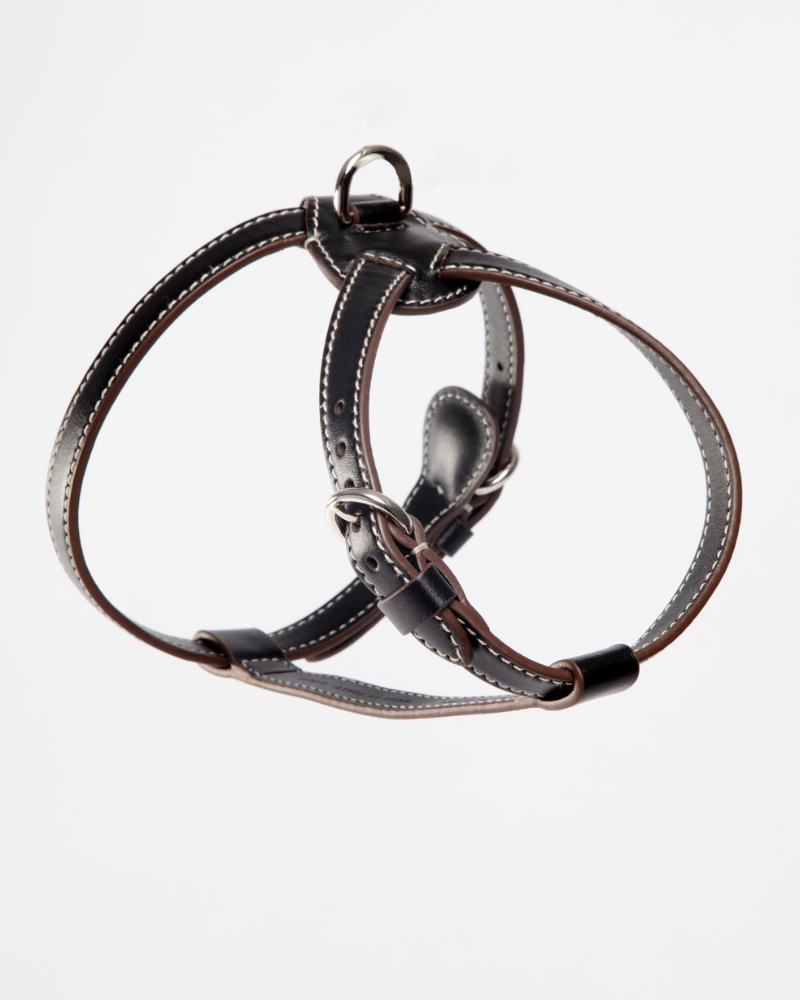 Nuvola Leather Dog Harness in Black (Made in Italy) Walk CARLOTTA PALERMO