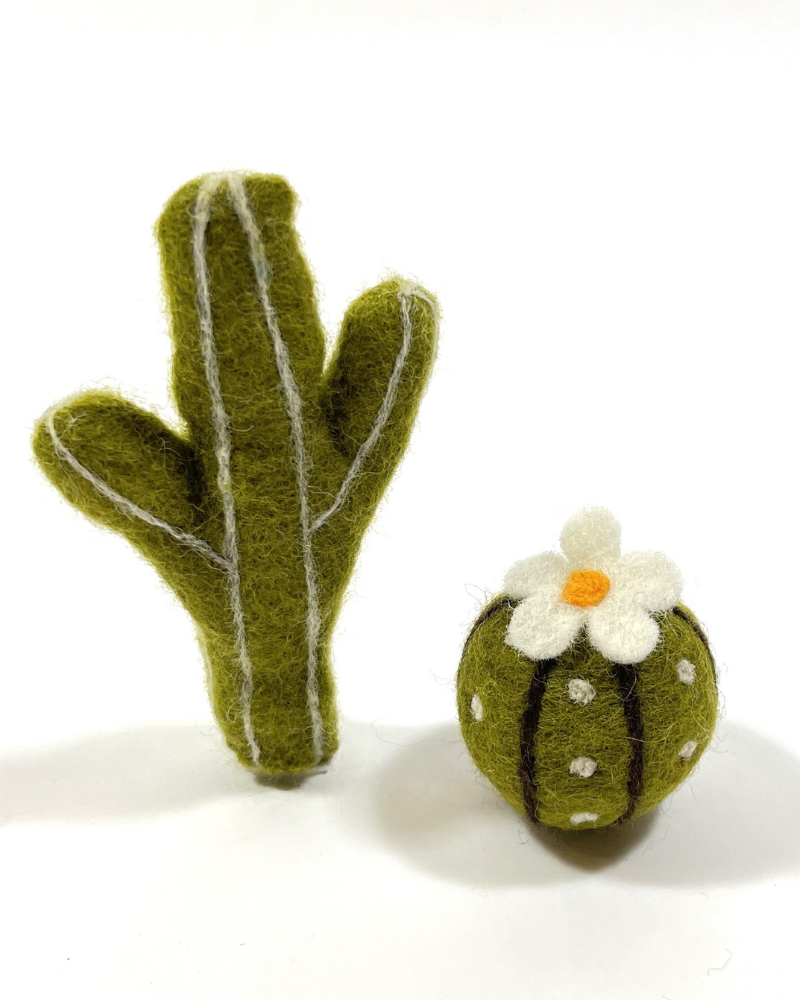 cat succulent Karma Cat Wool Succulents 2-Pack Toy