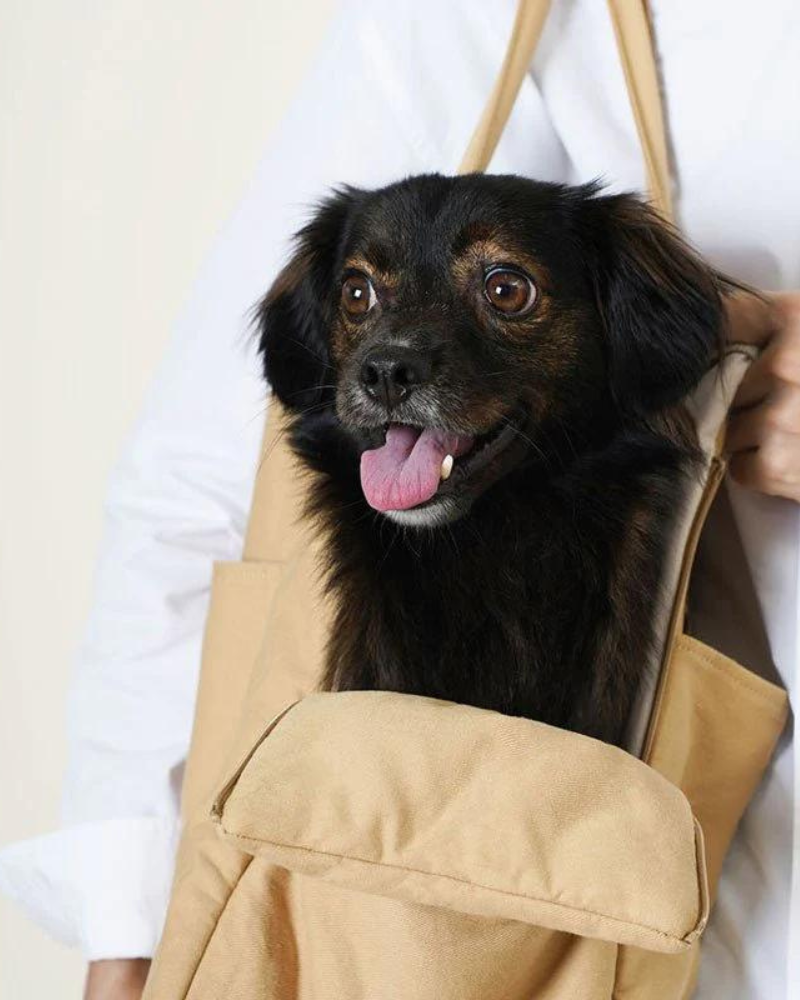 The Day Carrier Pet Tote (FINAL SALE) Carry HOWLPOT   