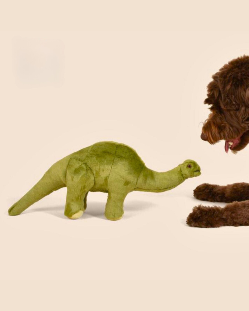 Emily Brontosaurus Squeaky Dog Plush Toy Play FLUFF & TUFF   