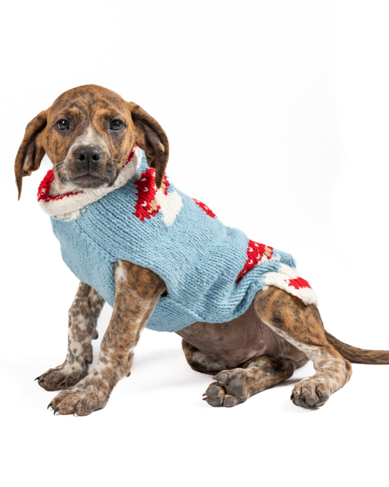 Mushroom Wool Dog Sweater (FINAL SALE) Wear CHILLY DOG   