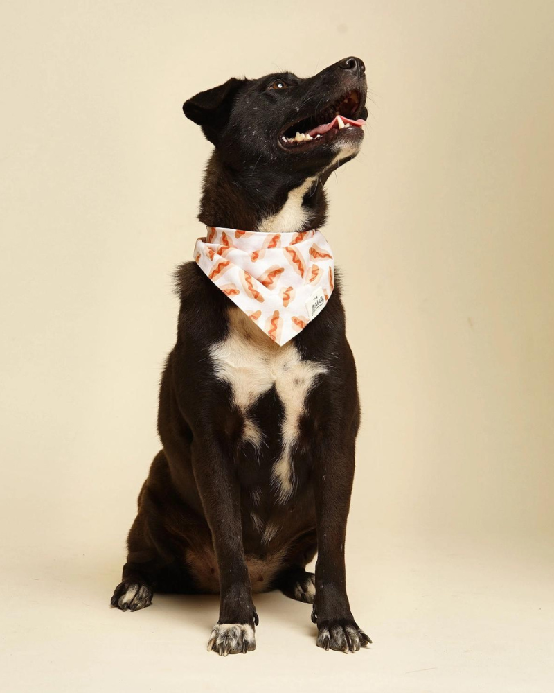 Sizzle Hot Dog Bandana (FINAL SALE) Wear THE PAWS   