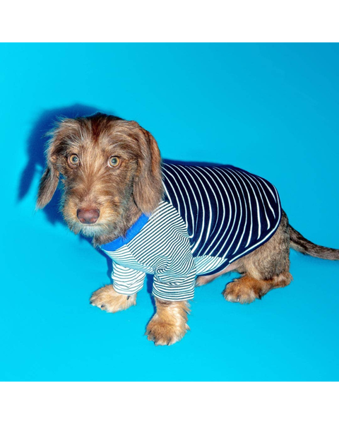 WARE OF THE DOG | Black & White Crazy Striped Dog T-Shirt (Made in
