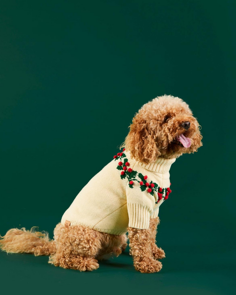 Holly Bobble Dog Sweater Wear THE FOGGY DOG   