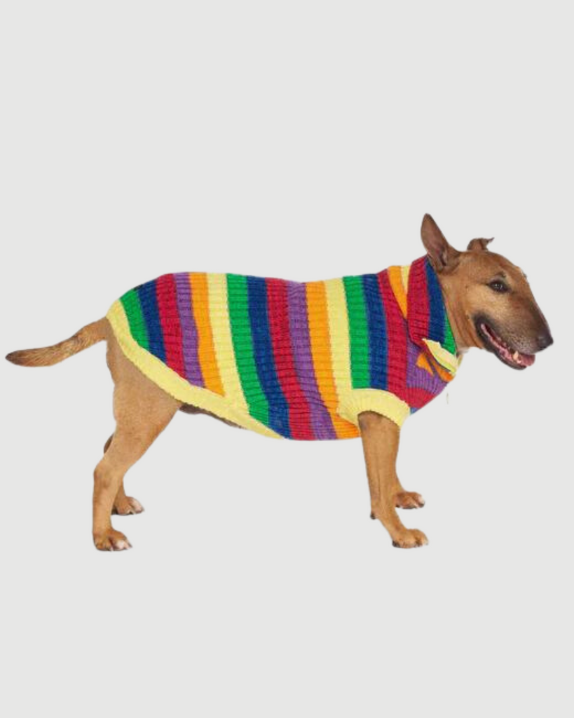 Over The Rainbow Dog Sweater (FINAL SALE) Wear CANADA POOCH   