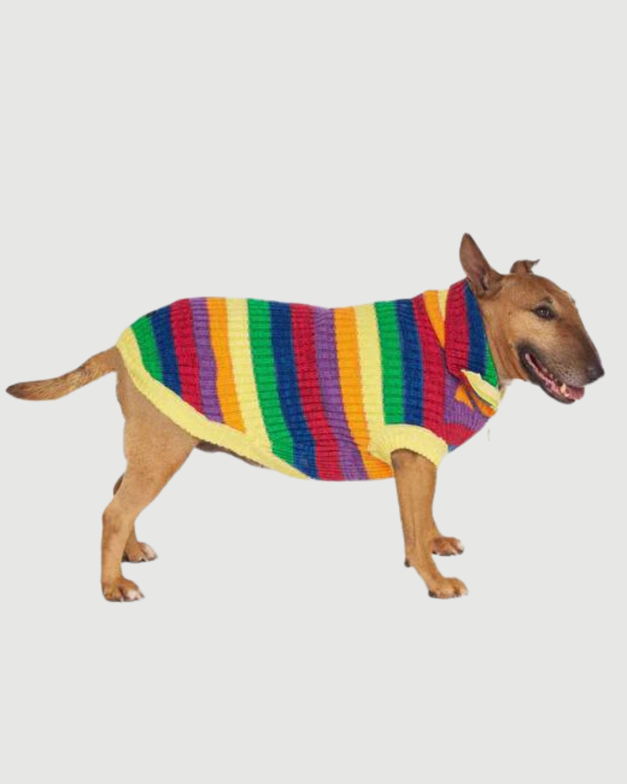 CANADA POOCH | Over The Rainbow Dog Sweater