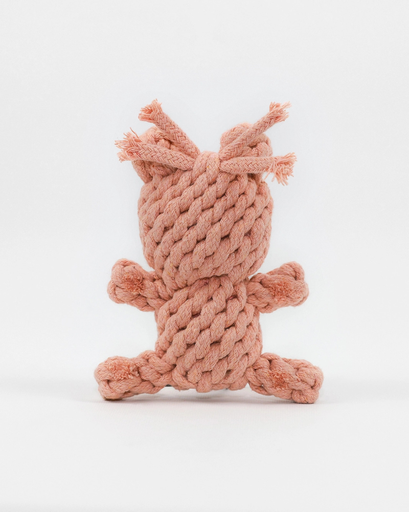 KNOTTY PAWS | Sweetheart Bear Rope Dog Toy | DOG & CO.