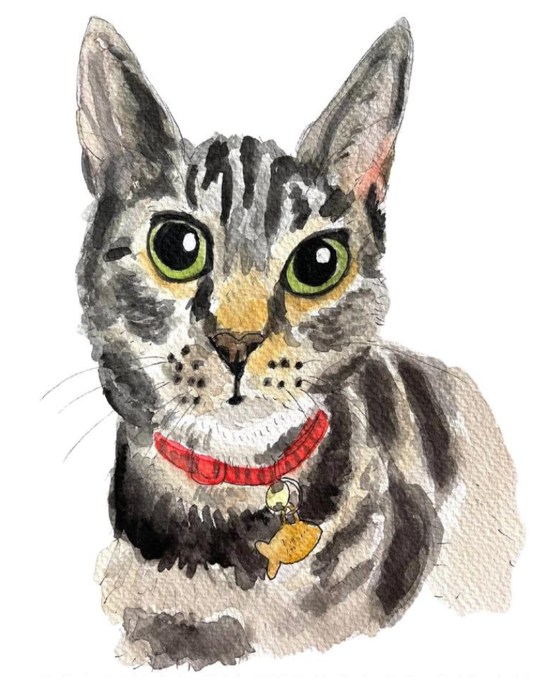 Custom Watercolor Pet Portrait (5x7) HOME Alexandra Schmeling Fine Art   