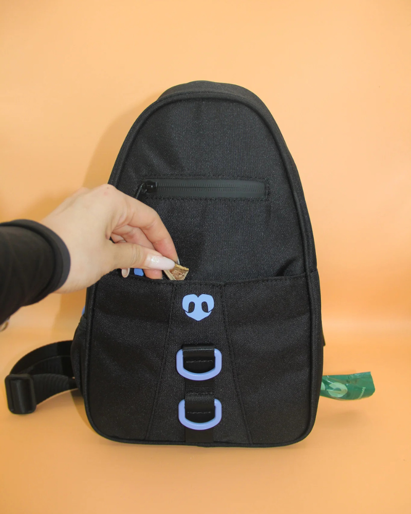 Waterproof Dog Walking Bag w/ Removable Treat Pouch WALK MOLO MODERN PET