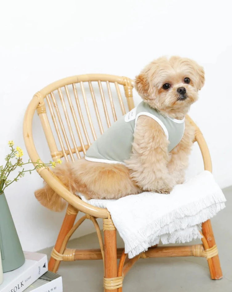 Sleeveless Cool T-Shirt Dog Tank (FINAL SALE) Wear MONCHERI   