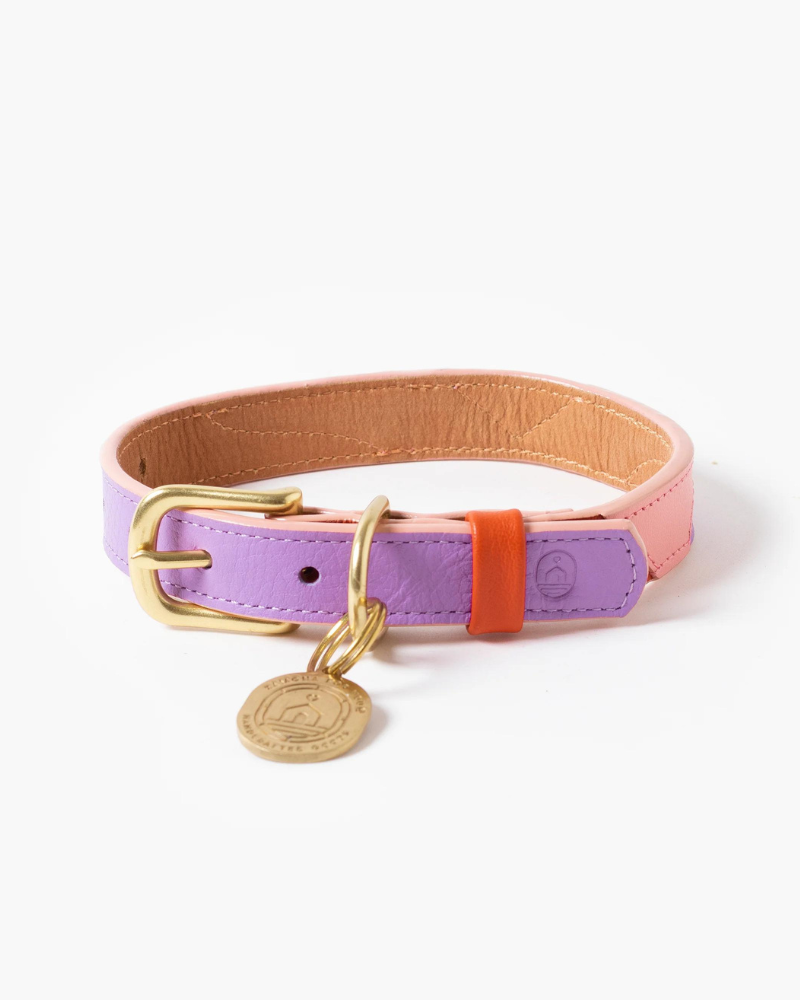 Sweet Leather Dog Leash (Made in Guatemala) WALK RAMONA FOR YOU   