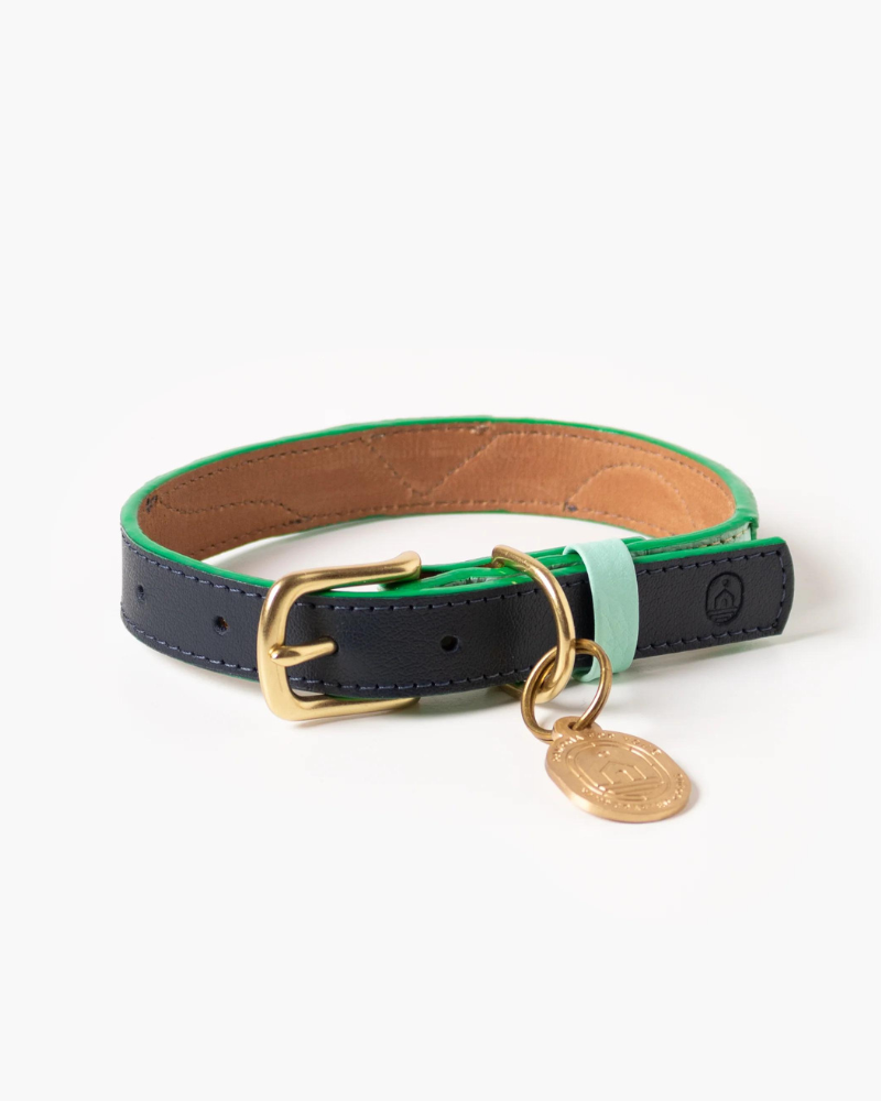 Brave Leather Dog Collar (Made in Guatemala) WALK RAMONA FOR YOU   