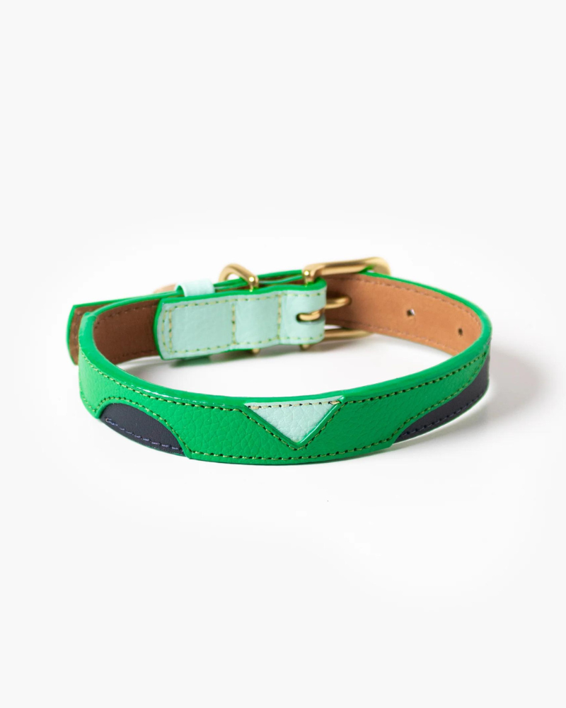 Brave Leather Dog Collar (Made in Guatemala) WALK RAMONA FOR YOU   