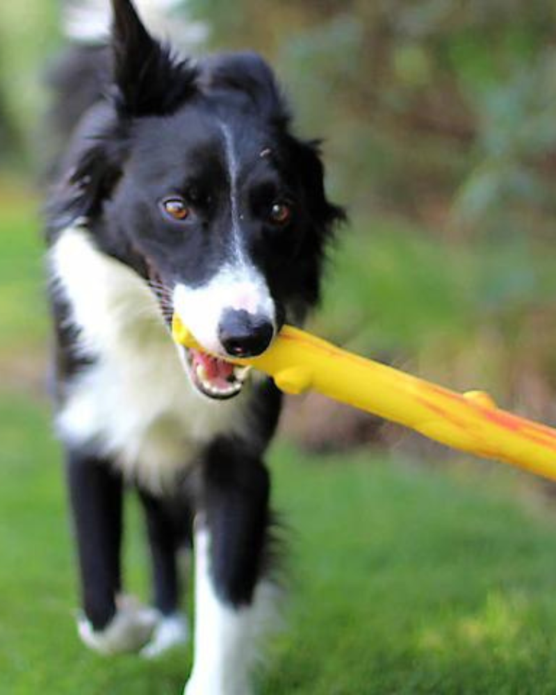 Natural Rubber Twig or Stick Dog Fetch Toy (Made in the USA) Play RUFF DAWG   