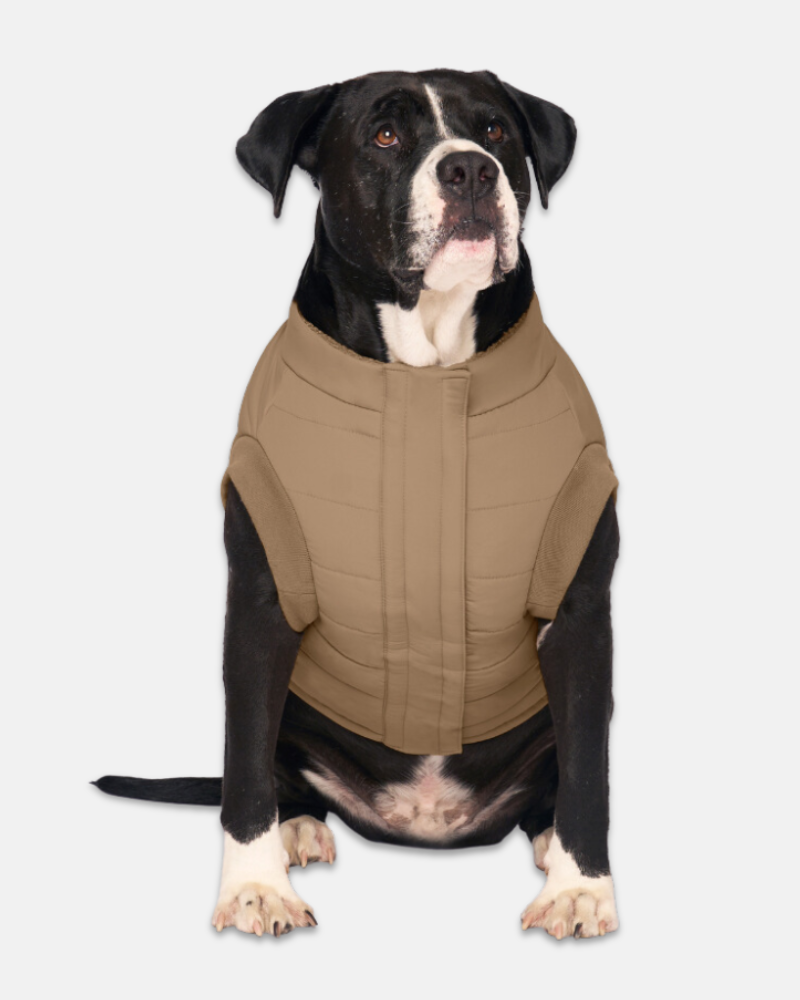 Cool Factor Dog Puffer Jacket in Tan (FINAL SALE) Wear CANADA POOCH   