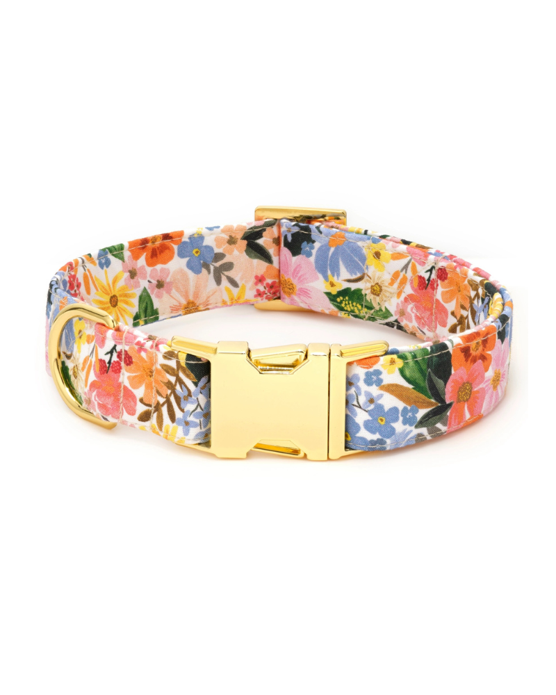 Marguerite Floral Dog Collar WALK THE FOGGY DOG