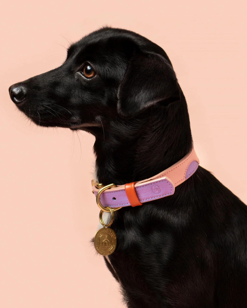 Sweet Leather Dog Leash (Made in Guatemala) WALK RAMONA FOR YOU   