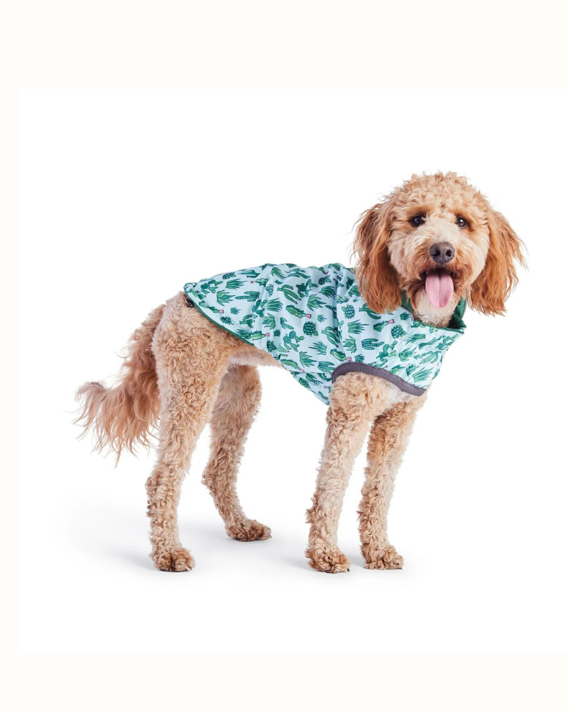 Reversible Waterproof Dog Raincoat in Green Wear GF PET   