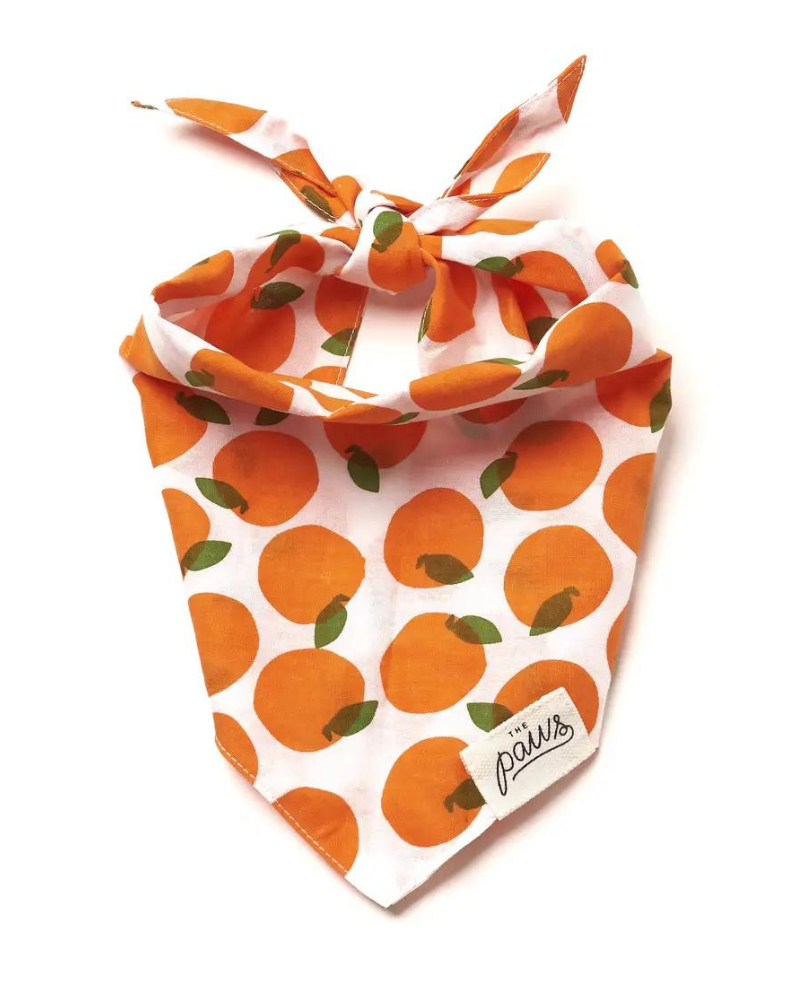 Orange You Pretty Dog Bandana (FINAL SALE) Wear THE PAWS   
