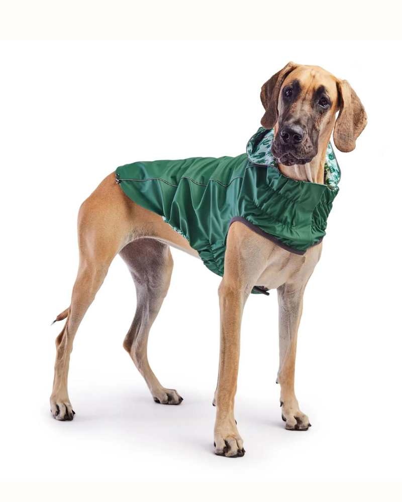 Reversible Waterproof Dog Raincoat in Green Wear GF PET   