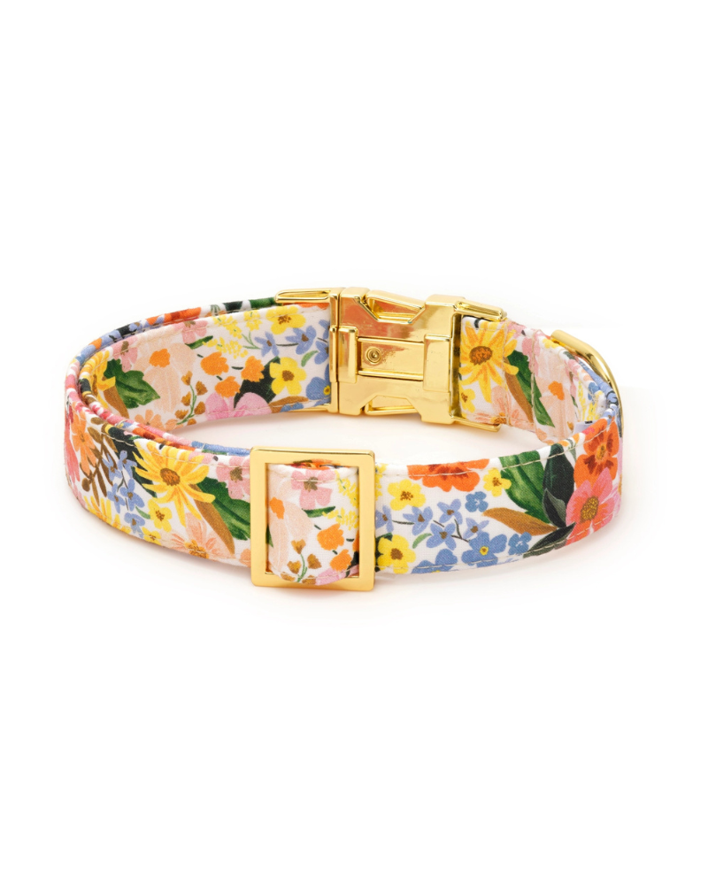 Marguerite Floral Dog Collar WALK THE FOGGY DOG
