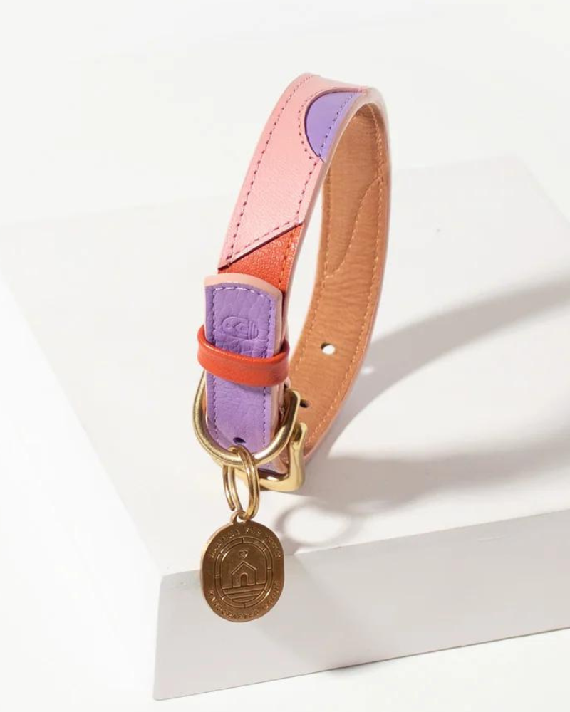 Sweet Leather Dog Collar (Made in Guatemala) WALK RAMONA FOR YOU   