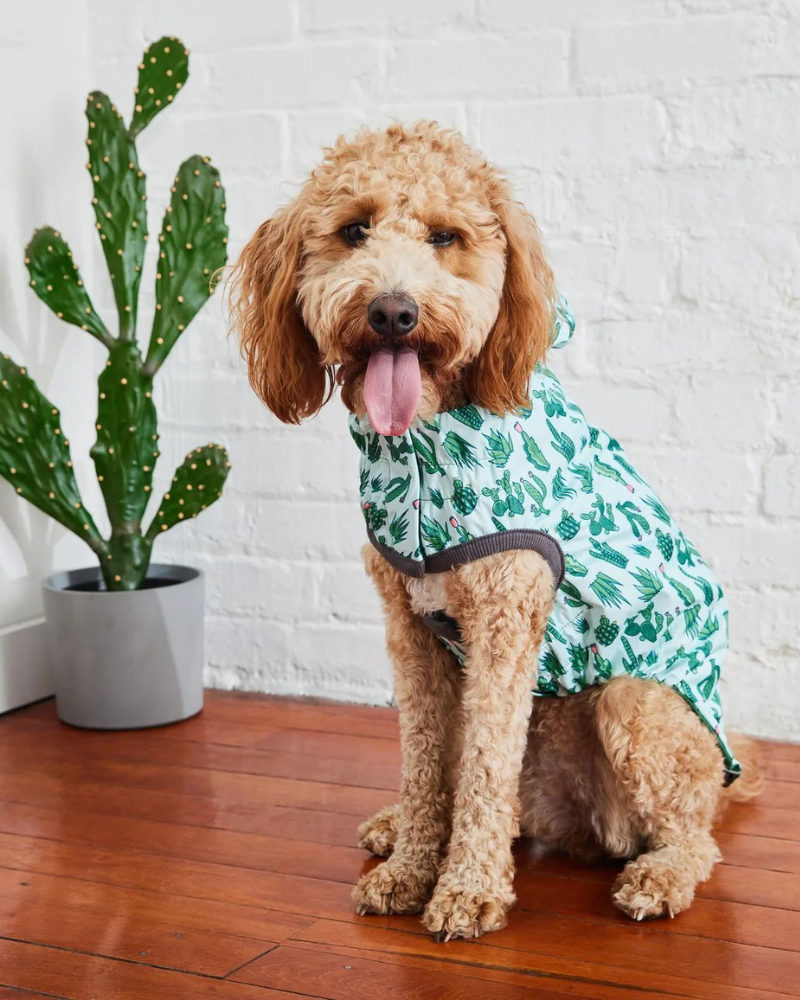 Reversible Waterproof Dog Raincoat in Green Wear GF PET   