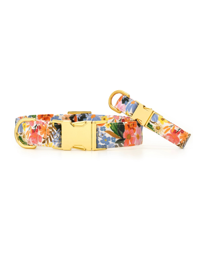 Marguerite Floral Dog Collar WALK THE FOGGY DOG