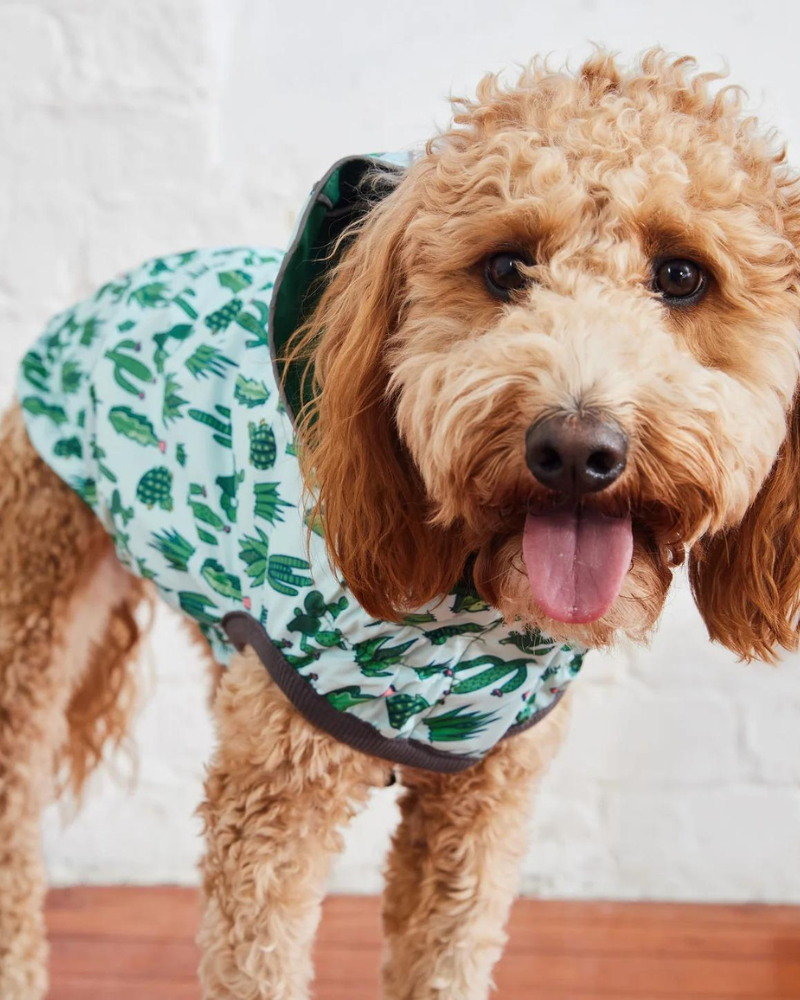 Reversible Waterproof Dog Raincoat in Green Wear GF PET   