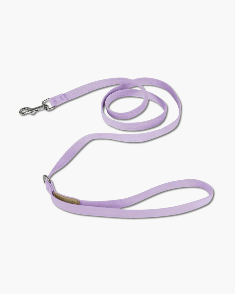 Ultrasuede Small Dog Leash in Black or Lavender (Made in the USA) WALK SUSAN LANCI DESIGNS Lavender  