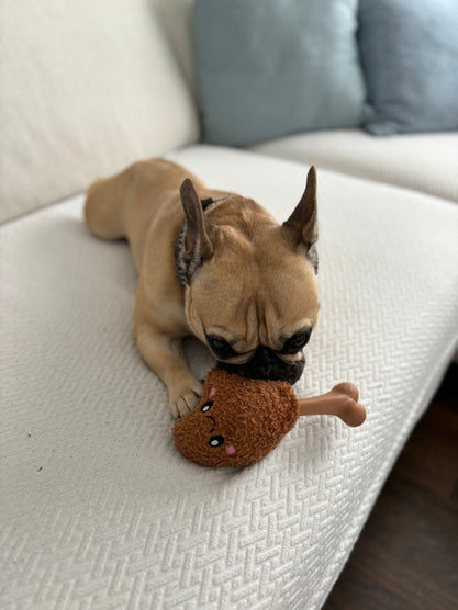 Chicken Bone 2-in-1 Dog Toy Play ORIGINAL TERRITORY   