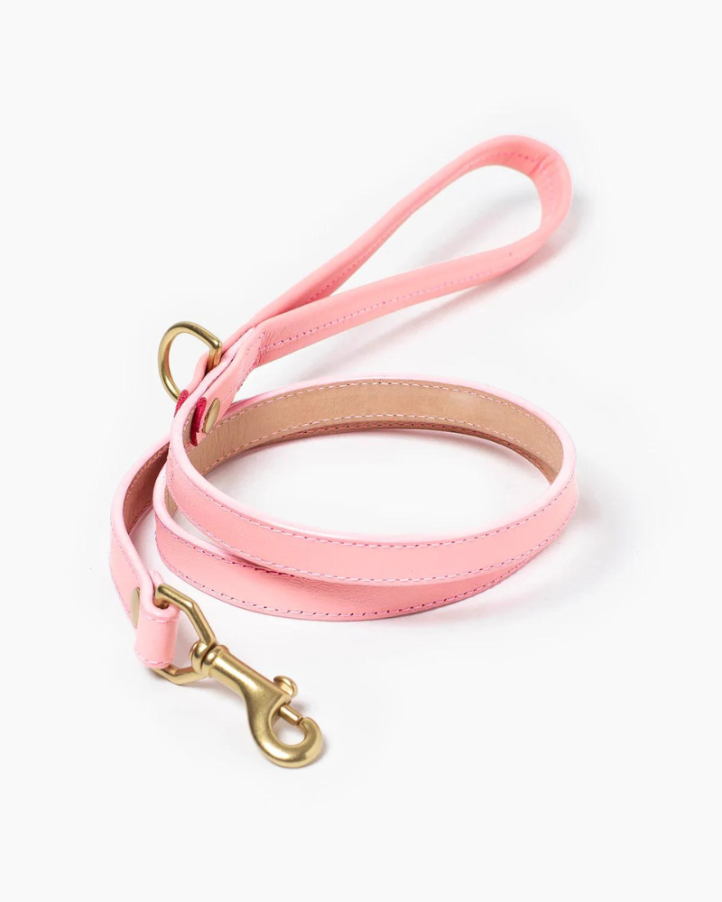 Sweet Leather Dog Leash (Made in Guatemala) WALK RAMONA FOR YOU   