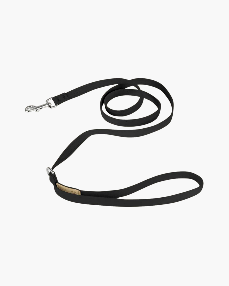 Ultrasuede Small Dog Leash in Black or Lavender (Made in the USA) WALK SUSAN LANCI DESIGNS Black  
