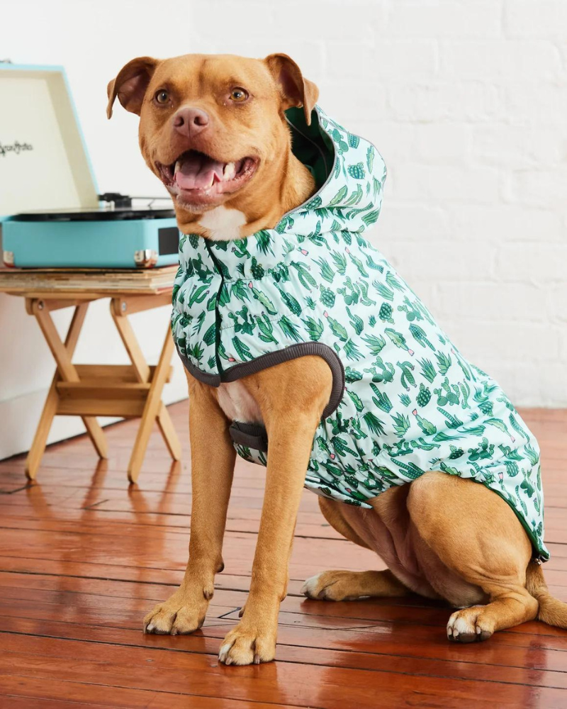 Parka pour chien recyclée Veste pour chien camouflage 100% recyclée Parka pour chien recyclée Veste pour chien camouflage 100% recyclée