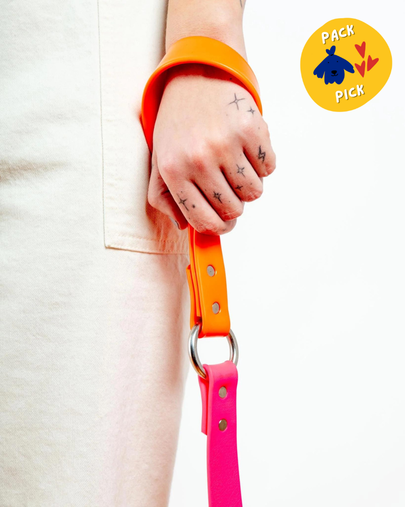 City Leash in Neon Pink & Neon Orange (4 or 6 Foot) (Made in the USA) WALK DOG & CO. COLLECTION   
