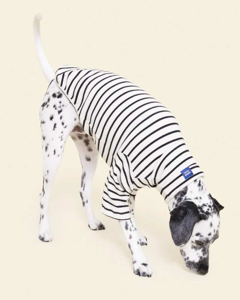 World's Your Oyster Dog Pullover Shirt Wear LITTLE BEAST
