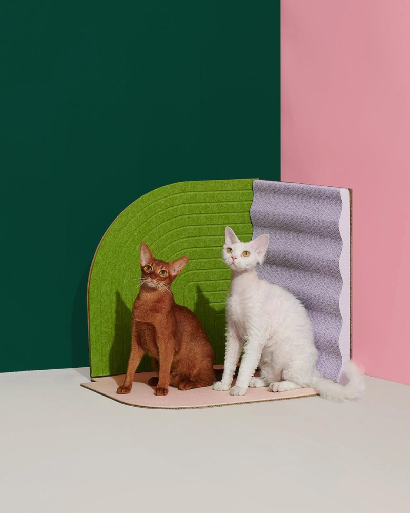 3-Dimensional Cat Scratcher Play PURRRE   