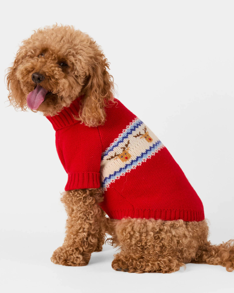 Reindeer Fair Isle Bobble Dog Sweater Wear THE FOGGY DOG