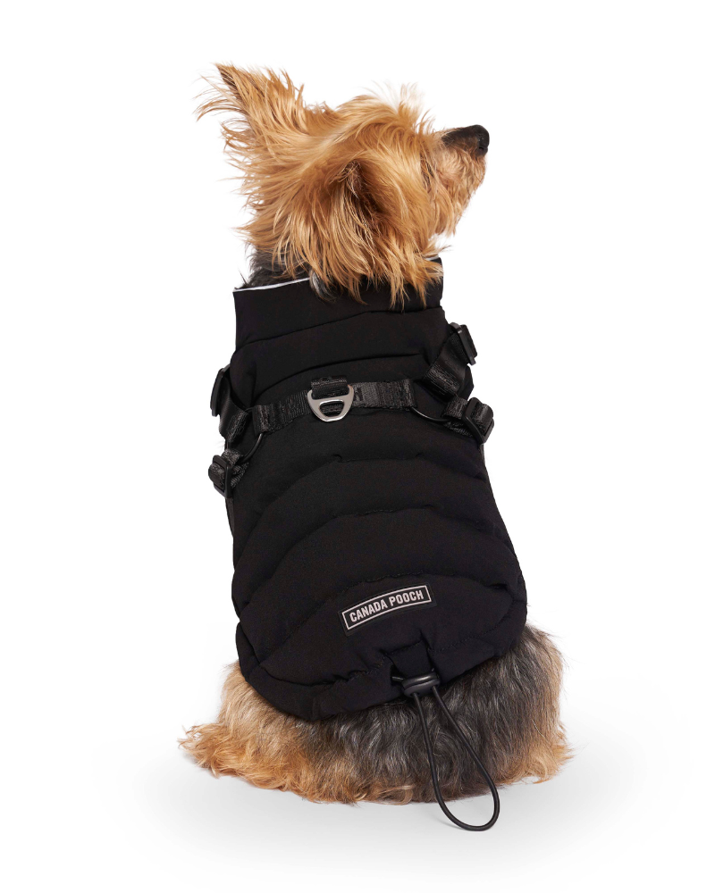 Harness Puffer Dog Jacket in Black Wear CANADA POOCH   