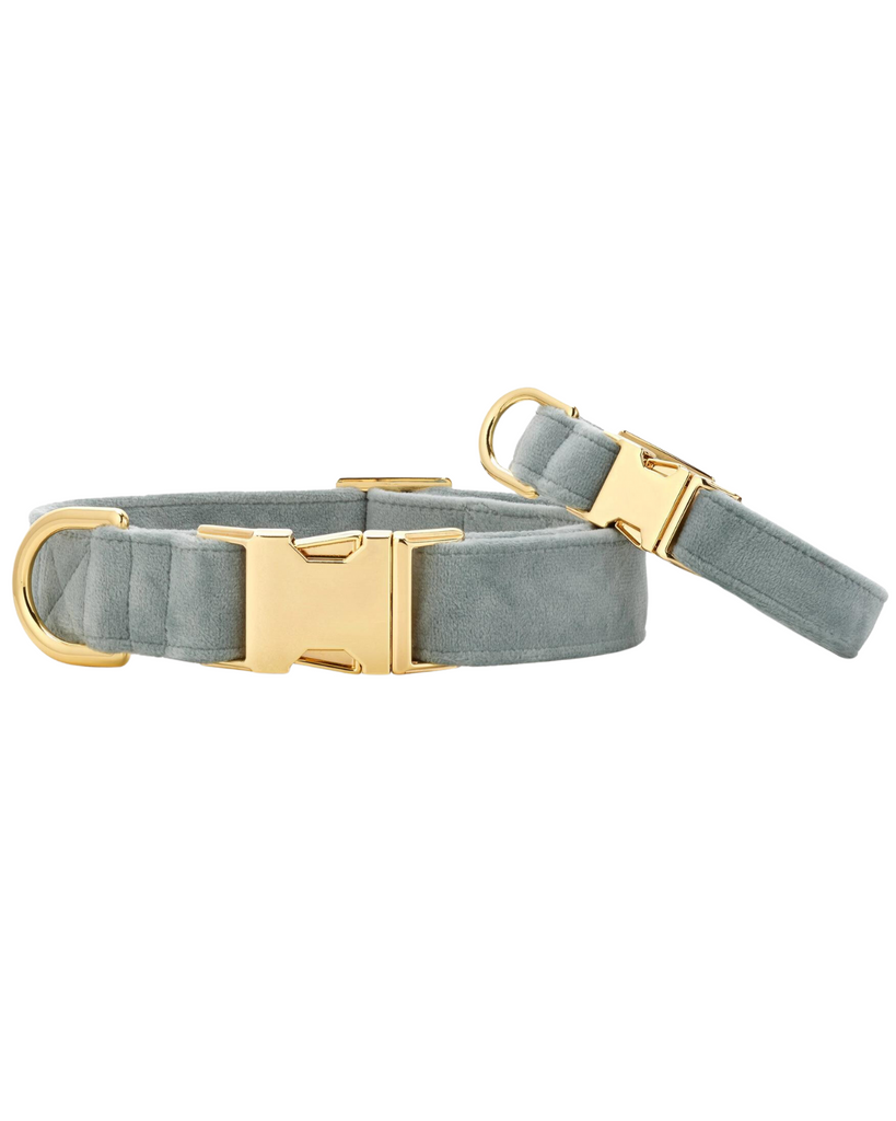 Sage Velvet Dog Collar (Made in the USA) WALK THE FOGGY DOG   