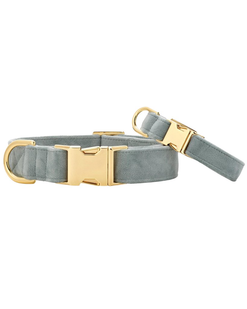 Sage Velvet Dog Collar (Made in the USA) (FINAL SALE) WALK THE FOGGY DOG   