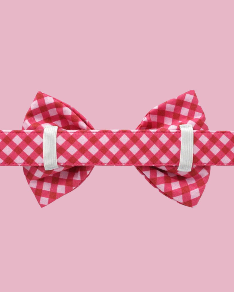 Raspberry Gingham Dog Bow Tie (Made in the USA) Wear THE FOGGY DOG   
