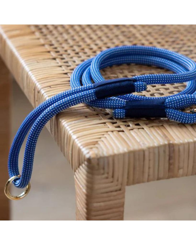 Climbing Rope Leash in Lagoon (Made in the USA) Leash THE FOGGY DOG   