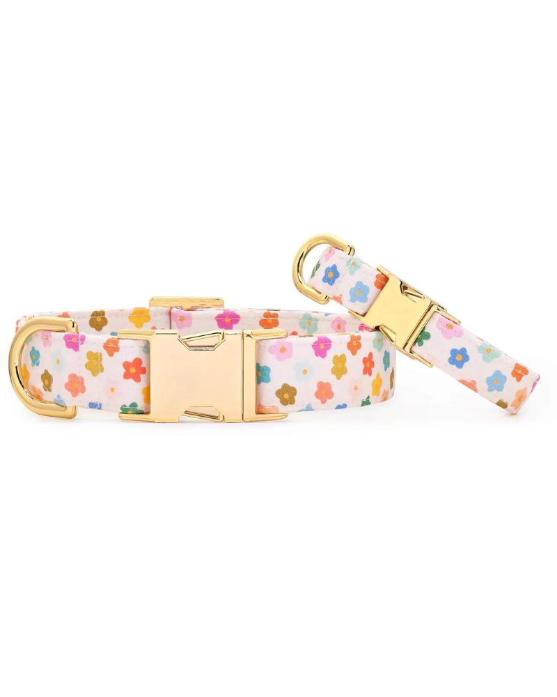 Rainbow Flower Dog Collar (Made in the USA) (FINAL SALE) WALK THE FOGGY DOG   